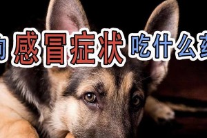 月龄狗狗的饮食异常症状及原因解析（探寻1个月狗狗喝什么引起的不适和其成因）