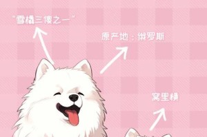 如何帮助瘦萨摩耶增加体重？（萨摩耶瘦小的原因及增重食谱推荐）