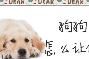 如何安全接近陌生犬只（教你避免狗咬事件，享受与宠物的亲密互动）