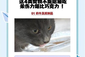 小奶猫的可爱背后隐藏的危险（宠物养护知识，小奶猫养成的危险与应对措施）