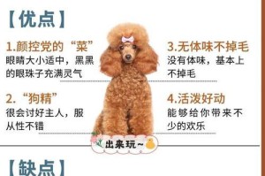 泰迪犬会咬人的六大原因（了解为什么泰迪犬有可能咬人，保护你的家人和宠物）