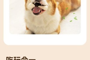 狗咬胶（科学喂食，关注狗咬胶的吃食频率）