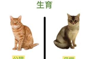 公猫与母猫绝育手术形式的差异（深入了解公猫和母猫绝育手术中的方式及其影响）