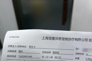以喵咪的网址是什么意思？（探索猫咪的在线世界）