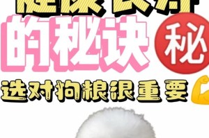 宠物狗的饮食频率（科学喂养让狗狗健康快乐）