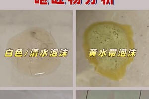 狗狗呕吐的常见原因及应对方法（了解狗狗呕吐的8个常见原因，让你成为贴心的主人）
