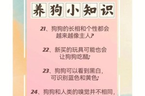 新手养狗的科普知识（入门必备的狗狗养成常识，让你成为贴心的狗狗父母）