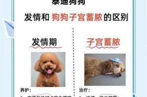 泰迪犬的好色行为之谜（探究泰迪犬喜欢色诱的原因以及行为特点）