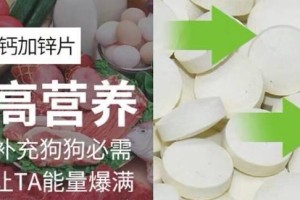 宠物比熊产后缺钙怎么补？（营养补给是关键）