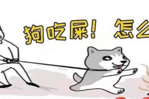 贵宾狗不吃狗的原因（探索贵宾狗对狗肉的不同态度）