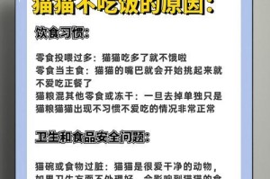 猫咪为何不吃饭？探究厌食症的原因与解决方法（解读猫咪不吃饭的七大原因，帮你解决它们！）