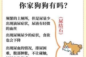 狗狗肾功能衰竭（狗狗肾不好有哪些症状以及可能的原因）