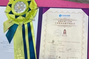 成为宠物美容师B证书所需时间及要求（宠物美容师B证书的获取时间、考试内容和培训要求）