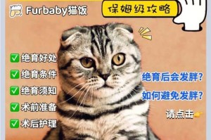 猫咪的怀孕生育及照料指南（为你的毛孩做好准备，关注它们的健康与幸福）