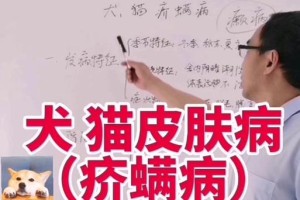 以狗介螨多久能好（治疗狗介螨的时间及关键因素分析）