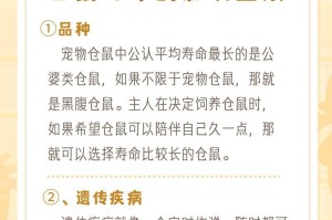 仓鼠的名字大全——寻找适合你的小宠物名字（从可爱到有趣，15个与仓鼠相关的独特名字供你选择）