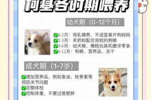 小狗鱼肝油喂养指南（如何正确喂养小狗鱼肝油，让宠物更健康）