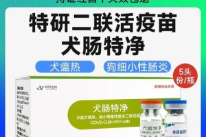 小土狗的疫苗接种时间与注意事项（狗狗健康的关键，从疫苗开始）
