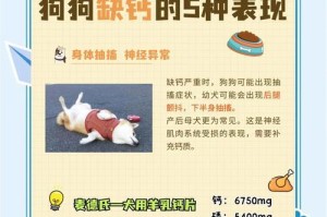 维生素缺乏对狗狗的影响（疾病与状况分析，）