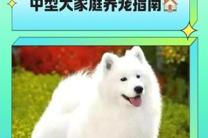 中型犬品种（探索中型犬种类的品质和特点）