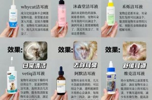 狗的耳朵的多功能之谜（揭秘狗耳朵的神奇用途及保护方法）
