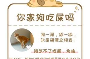 狗狗为什么喜欢吃屎？（解析狗狗食用屎的原因及如何预防）