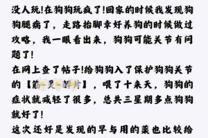 金毛瘸了多久能好？（探究金毛瘸腿恢复时间的关键因素）