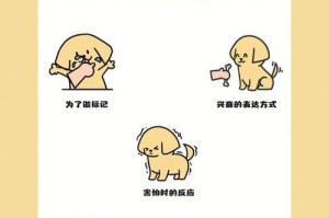 狗狗为什么爱咬人手手？（探索狗狗咬人手手的原因及解决方法）
