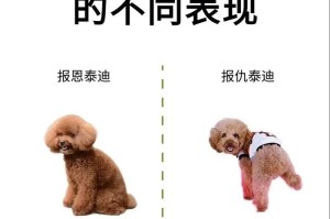 选择适合养狗的狗种，让你的宠物生活更美好（了解狗种特点，为宠物选择最佳伴侣）