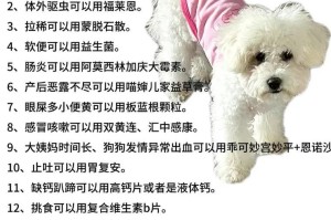 养宠物家庭必备药物，省钱又方便（以家庭药箱备齐，宠物健康无忧）