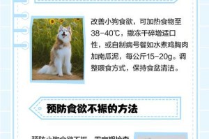 狗狗不进食的原因和应对方法（探索狗狗不进食的原因，教你正确应对）