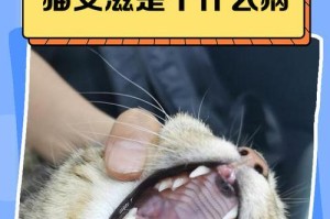 猫咪传染病（探讨猫咪传染给人的疾病及预防措施）