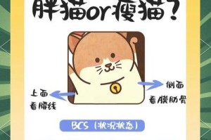 猫咪的健康重于一切（如何正确地喂养猫咪，让它健康增胖）