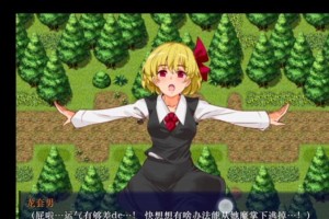 探究细绳套的奥秘（解密细绳套的原理与应用）
