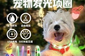 选择合适的小狗项圈，为你的宠物提供舒适和安全（如何选择适合你小狗的项圈，让你的宠物感到舒适和安全）