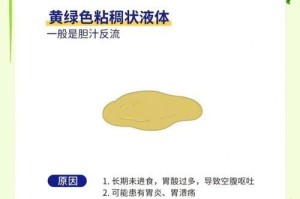 狗狗吐了怎么办？应对狗狗呕吐的全面指南（呕吐情况大全，教你有效处理狗狗呕吐问题）