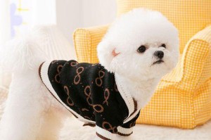 宠物穿衣服的利与弊（为你的爱宠穿衣服的必要性与注意事项）