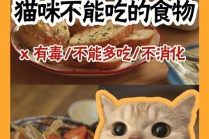小猫的食物选择问题（探究小猫可以吃的食物种类及喂养建议）