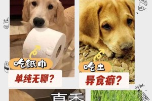 小狗为什么会吃自己的便便？（探究小狗吃便便的原因及解决方法）