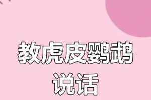 教你如何训练鹦鹉说话（全面解析鹦鹉训练方法，帮助你成功培养聪明可爱的口才小鸟）