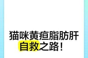 猫黄疸性肝炎（以猫黄疸性肝炎为例，探讨影响病情持续时间的因素）