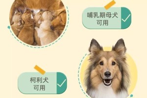 泰迪犬出生多久可以进行除虫？（泰迪犬除虫时间及注意事项）