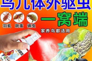 鹦鹉鸟的药物喂养指南（为宠物鹦鹉鸟提供正确的药物治疗和保健）