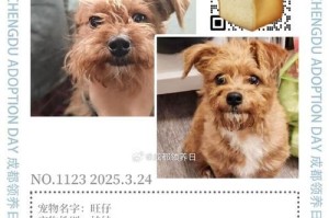 领养代替购买——给您的家庭带来一只健康的狗狗