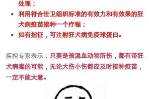 猫的潜伏期究竟有多久？（揭秘猫病毒的隐藏时间与传染特点）