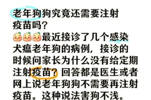狗狗育苗时间表（了解狗狗接种疫苗的最佳时机，为它们的健康保驾护航）