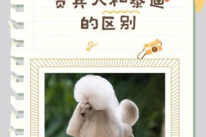 如何正确给泰迪狗狗修剪毛发和指甲（掌握正确的步骤和技巧，让您的泰迪狗狗时刻保持优雅整洁）