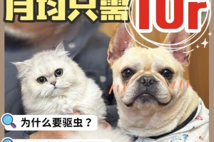 小猫驱虫的频率和注意事项（保护宠物猫健康的必要措施及驱虫周期选择）