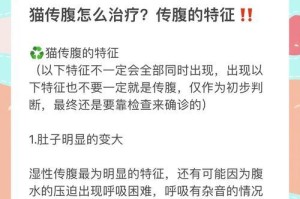 揭秘以猫传腹多久死的真相（猫传腹死亡时间的关键因素及预防措施）