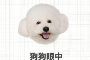 如何解读狗狗孕期反应（狗狗孕期反应分析及处理方法）